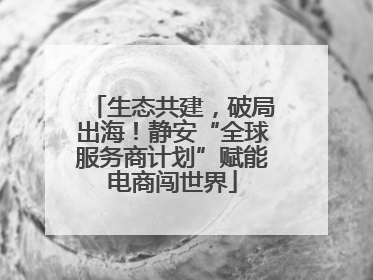 生态共建，破局出海！静安“全球服务商计划”赋能电商闯世界